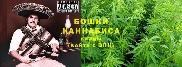 PSILOCYBIN Сатка
